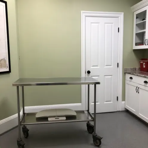 Exam room and mobile exam table at Court Street Animal Hospital